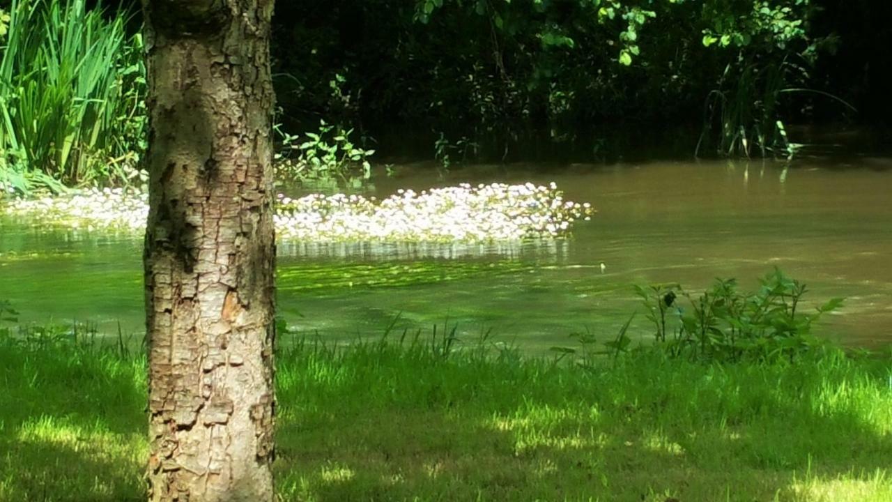 B&B Le Savoir Vivre Bonnes  Kültér fotó